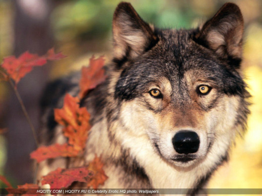 346603 (a): :1600x1200